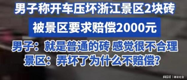 因大雪把充电棚倒塌压坏电动车谁赔偿「压坏2砖被索赔2千元」 美容养生